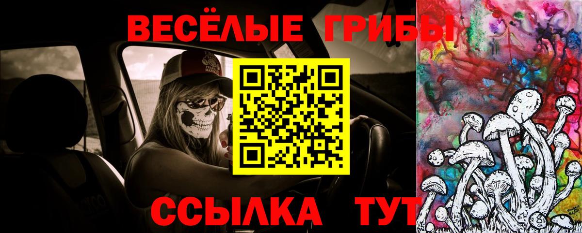 Псилоцибиновые грибы GOLDEN TEACHER  Вход с VPN  закладка  Геленджик 